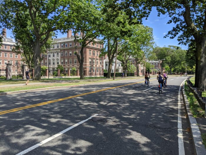 A photo of a 4 lane road that is shaded by large trees and is empty of cars. It is a sunny day, there are 4 people biking on the road, and 1 person walking on the sidewalk.