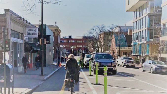 A woman bikes on the two-way protected bike lane on Brattle Street